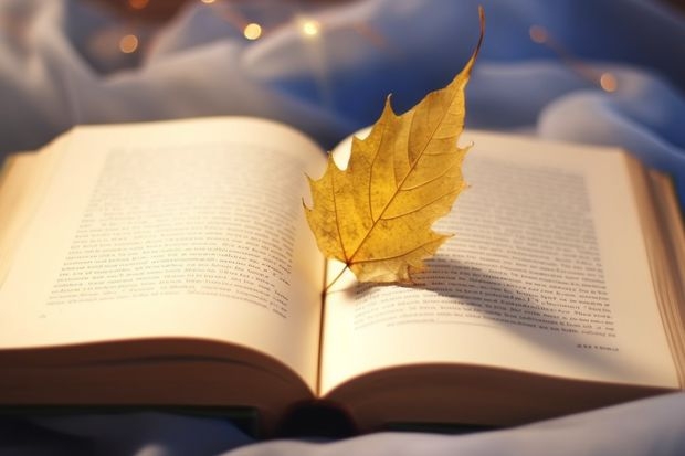 徐州师范大学是一本还是二本 徐州工程学院是一本还是二本