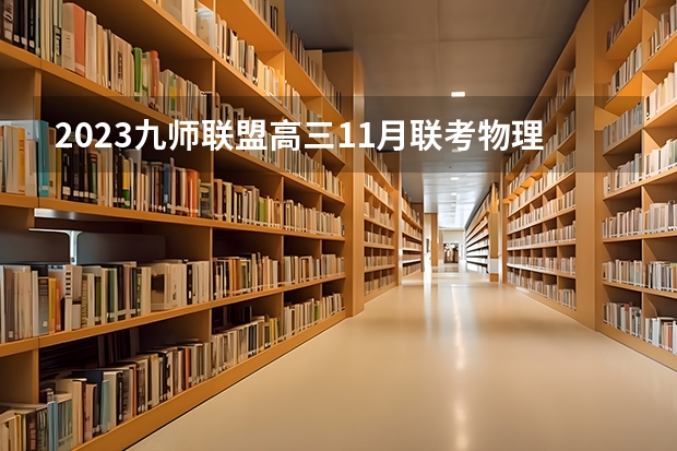 2023九师联盟高三11月联考物理答案及试卷（新高考） 有什么限制