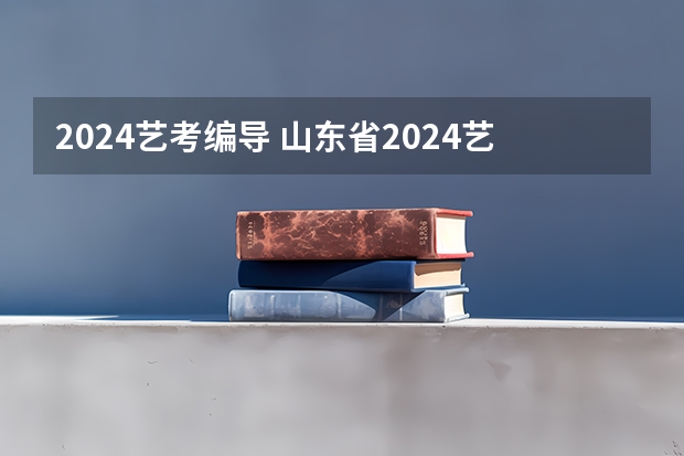 2024艺考编导 山东省2024艺考政策