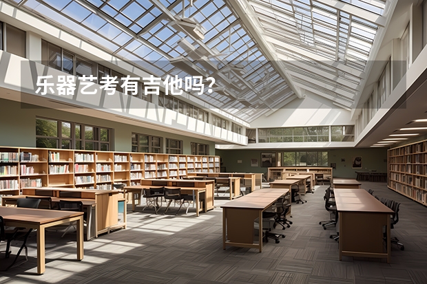 乐器艺考有吉他吗？