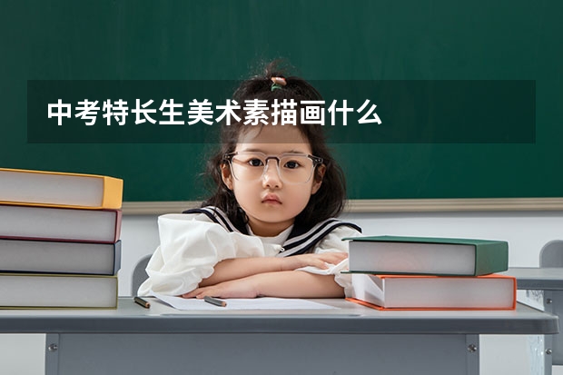 中考特长生美术素描画什么