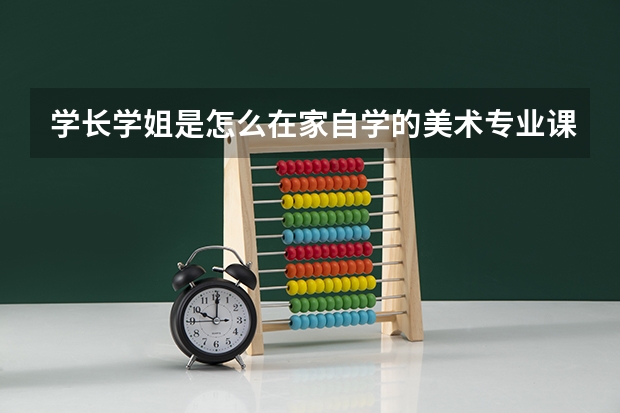 学长学姐是怎么在家自学的美术专业课呀？21年艺考想用寒假来提升自己