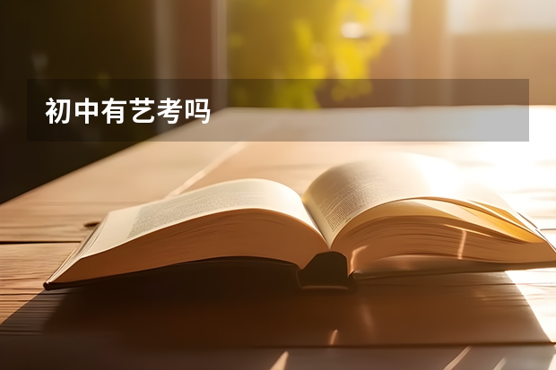 初中有艺考吗
