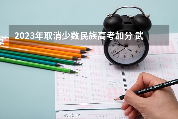 2023年取消少数民族高考加分 武汉民政职业学院录取分数线2022是多少分
