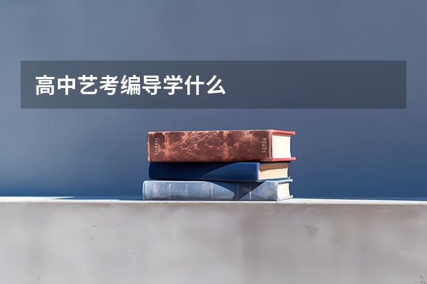 高中艺考编导学什么