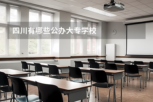 四川有哪些公办大专学校