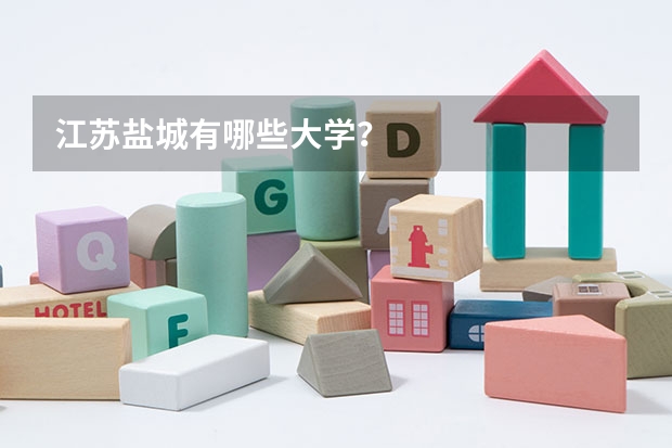 江苏盐城有哪些大学？