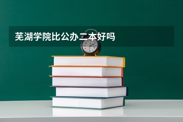 芜湖学院比公办二本好吗