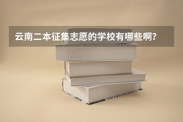 云南二本征集志愿的学校有哪些啊?