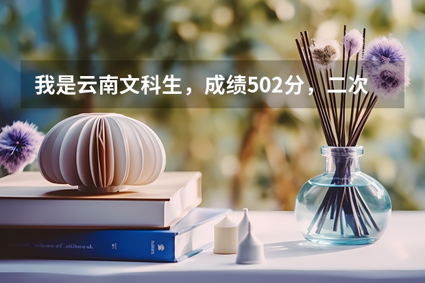 我是云南文科生，成绩502分，二次征集我报了云南民族大学（二本）小语种，民族生，有希望吗?
