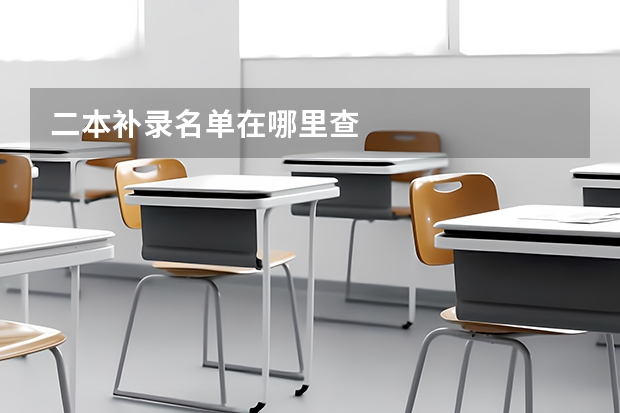 二本补录名单在哪里查