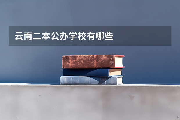 云南二本公办学校有哪些