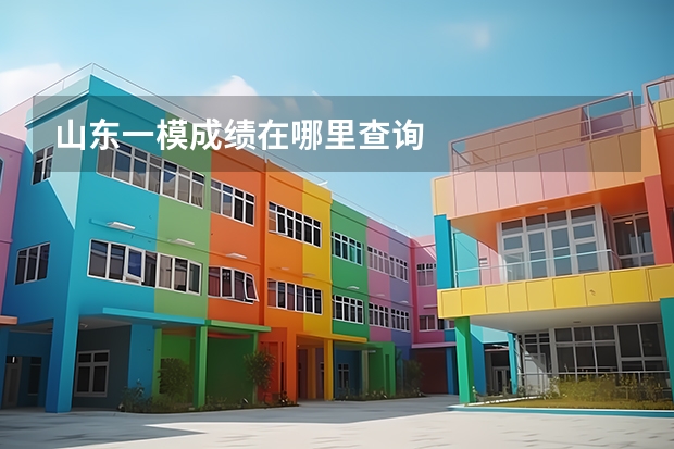 山东一模成绩在哪里查询