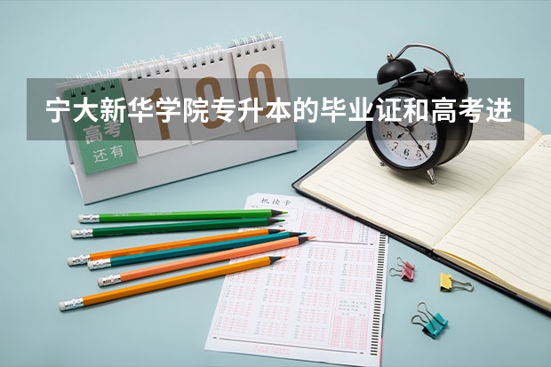 宁大新华学院专升本的毕业证和高考进去的毕业证一样吗?