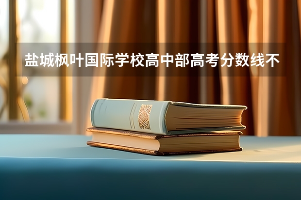 盐城枫叶国际学校高中部高考分数线不够怎么办？