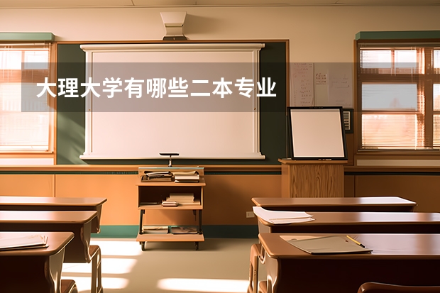 大理大学有哪些二本专业