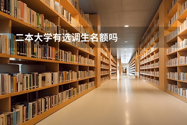 二本大学有选调生名额吗