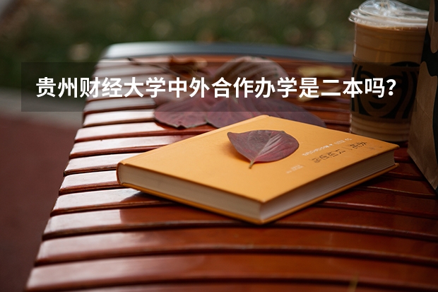 贵州财经大学中外合作办学是二本吗？毕业证上有中外合作办学几个字吗