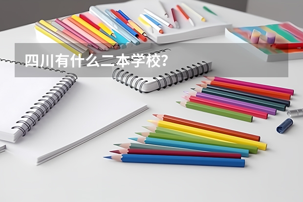 四川有什么二本学校？