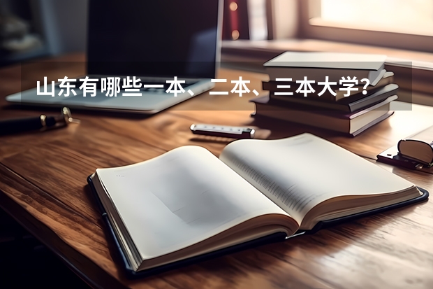 山东有哪些一本、二本、三本大学？