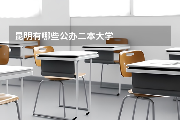 昆明有哪些公办二本大学
