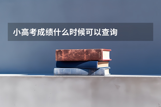 小高考成绩什么时候可以查询