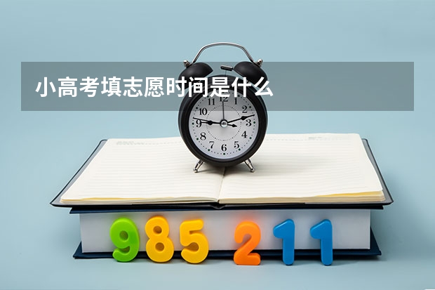 小高考填志愿时间是什么