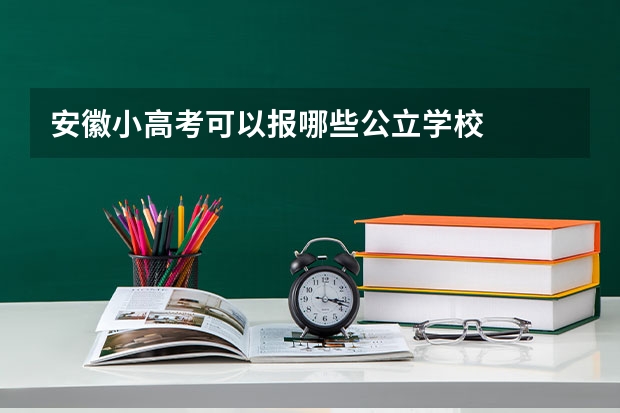 安徽小高考可以报哪些公立学校