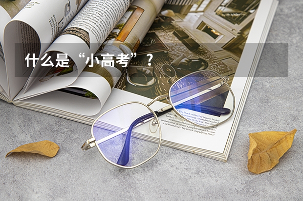 什么是“小高考”?