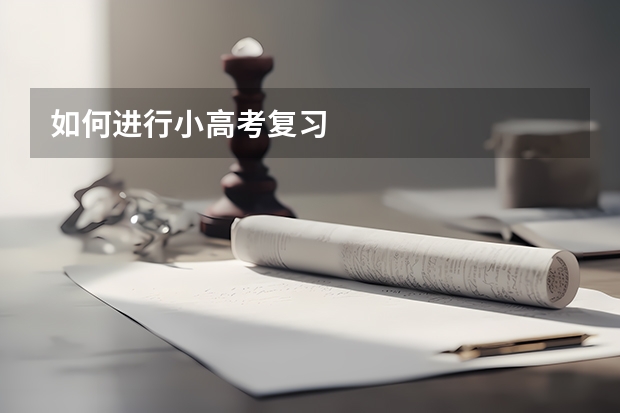 如何进行小高考复习