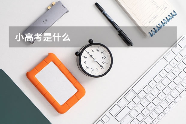 小高考是什么