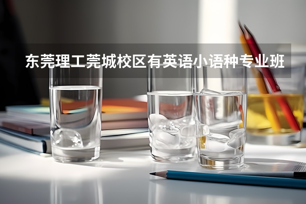 东莞理工莞城校区有英语小语种专业班吗?