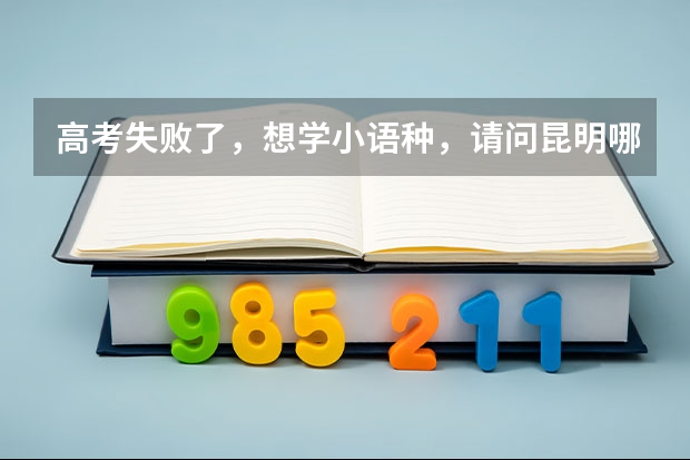 高考失败了，想学小语种，请问昆明哪里可以学？