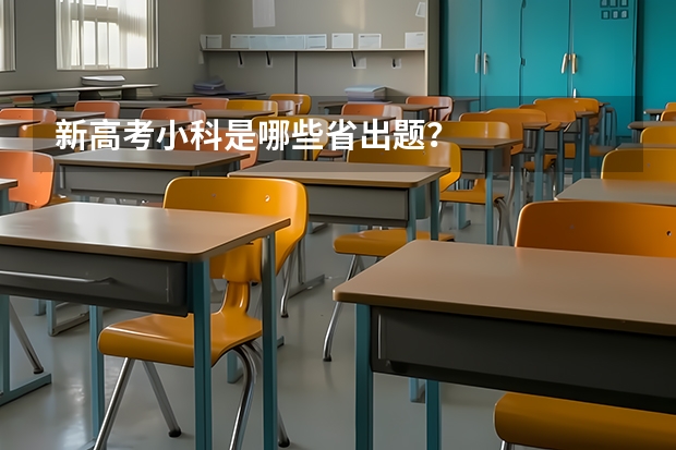 新高考小科是哪些省出题？
