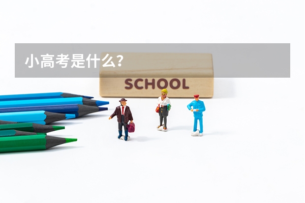 小高考是什么？