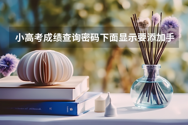 小高考成绩查询密码下面显示要添加手机号码是什么