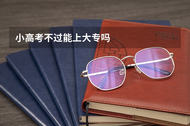 小高考不过能上大专吗