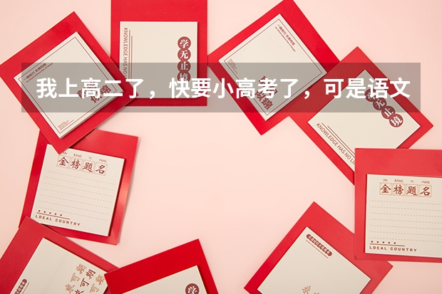 我上高二了,快要小高考了,可是语文英语成绩总在100分左右徘徊,我怎么样才能快速提分啊?青岛开发区