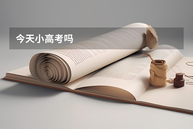 今天小高考吗