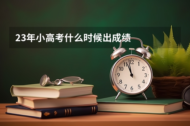 23年小高考什么时候出成绩