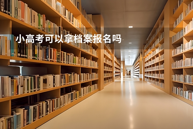 小高考可以拿档案报名吗