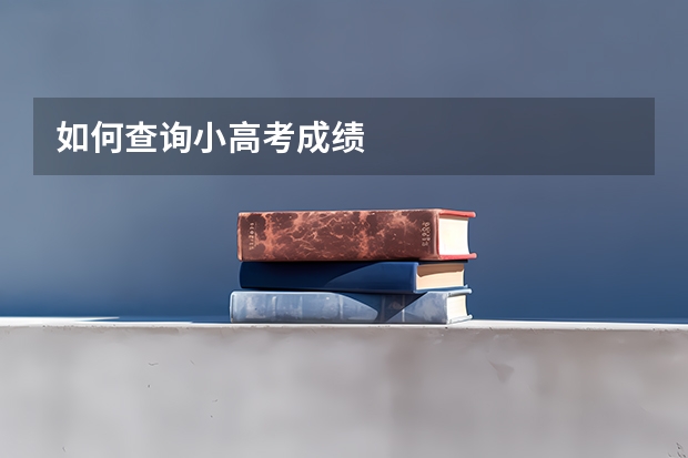 如何查询小高考成绩