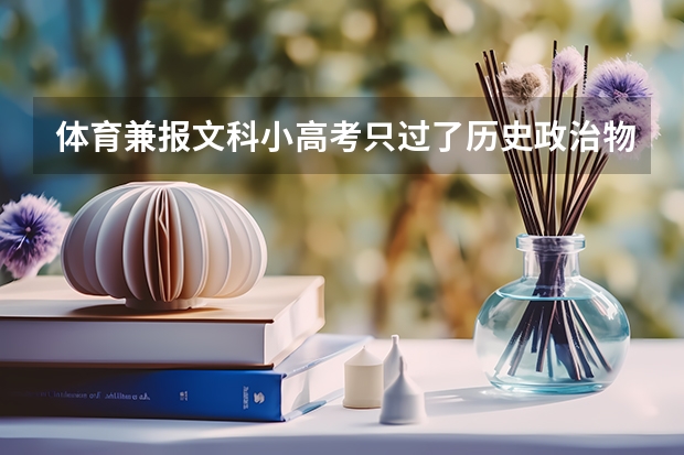 体育兼报文科小高考只过了历史政治物理地理有什么影响