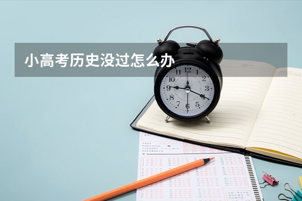 小高考历史没过怎么办
