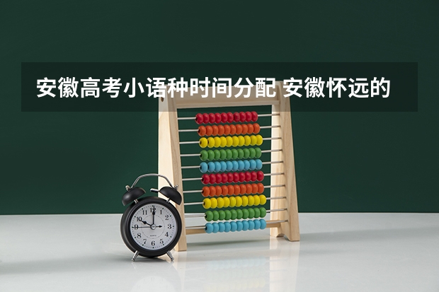 安徽高考小语种时间分配 安徽怀远的学生可以用小语种代替英语高考么？