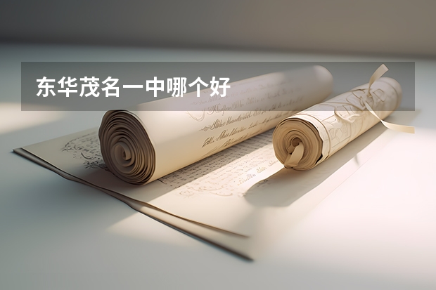 东华茂名一中哪个好