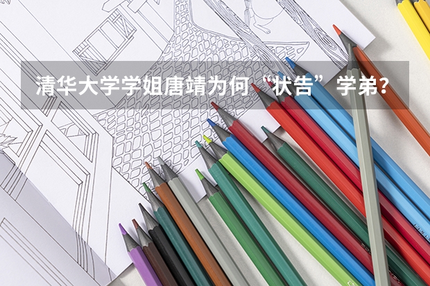 清华大学学姐唐靖为何“状告”学弟？双方和解了吗？